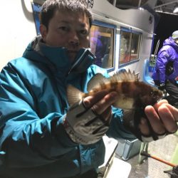 ヤザワ渡船 釣果