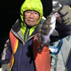 ヤザワ渡船 釣果
