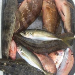 「LaGooN」蒼陽丸 日和号 釣果