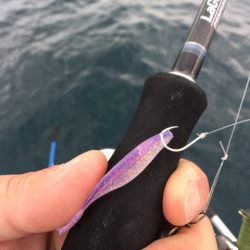 「LaGooN」蒼陽丸 日和号 釣果