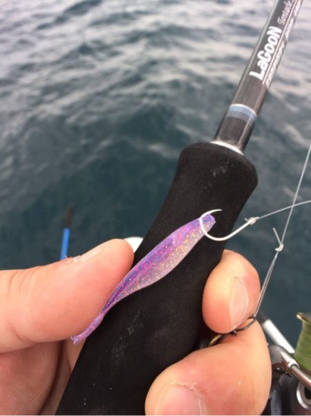 「LaGooN」蒼陽丸 日和号 釣果