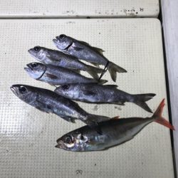 Monster Rush! 釣果