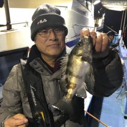 ヤザワ渡船 釣果