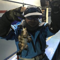 ヤザワ渡船 釣果