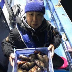 ヤザワ渡船 釣果