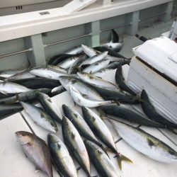 海楽隊 華栞丸 釣果