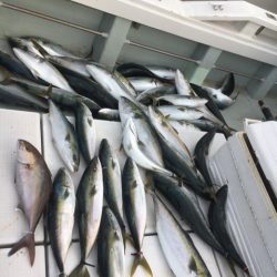 海楽隊 華栞丸 釣果