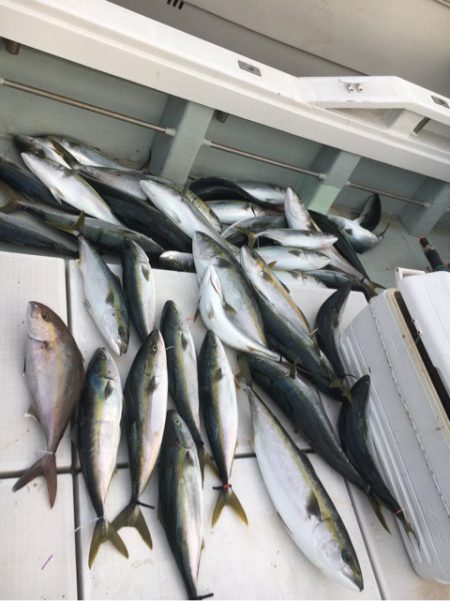 海楽隊 華栞丸 釣果