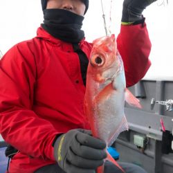 ＴＡＲＯＭＡＲＵ 釣果