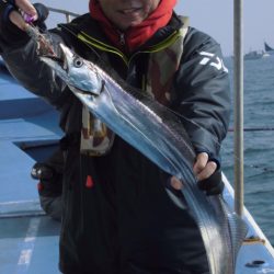 ヤザワ渡船 釣果