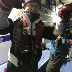 ヤザワ渡船 釣果