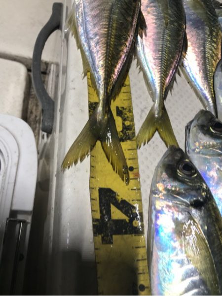 Monster Rush! 釣果