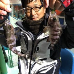 ヤザワ渡船 釣果