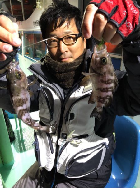 ヤザワ渡船 釣果