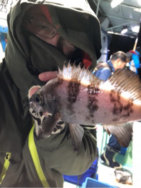 ヤザワ渡船 釣果