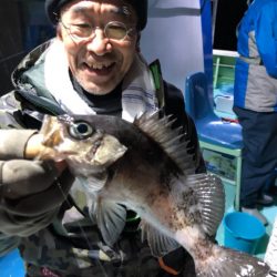 ヤザワ渡船 釣果