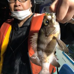 ヤザワ渡船 釣果