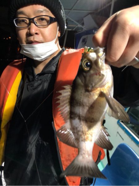 ヤザワ渡船 釣果