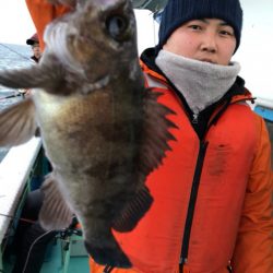 ヤザワ渡船 釣果