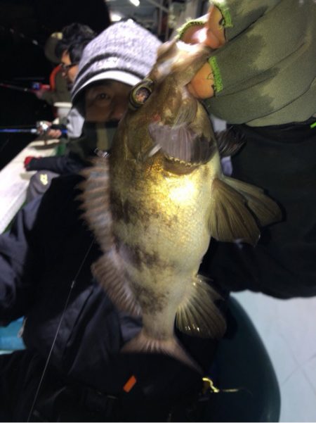 ヤザワ渡船 釣果