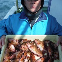 ヤザワ渡船 釣果