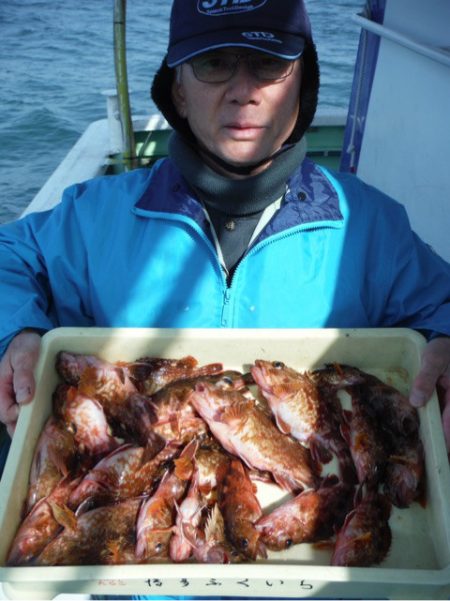 ヤザワ渡船 釣果