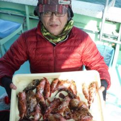 ヤザワ渡船 釣果