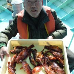 ヤザワ渡船 釣果