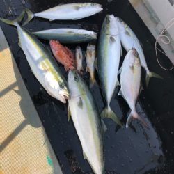 ＴＡＲＯＭＡＲＵ 釣果