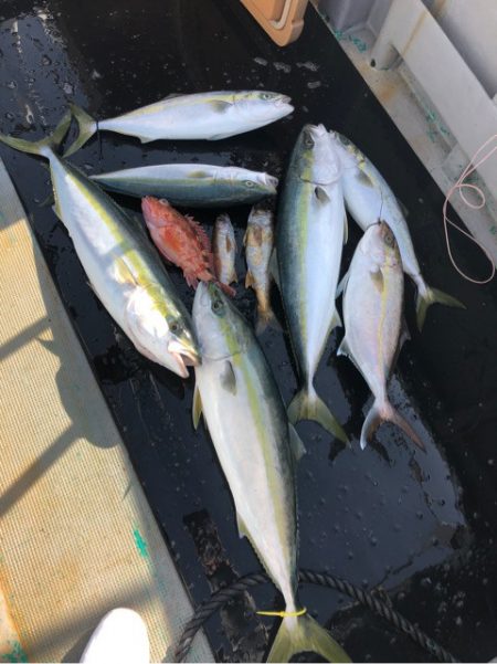 ＴＡＲＯＭＡＲＵ 釣果