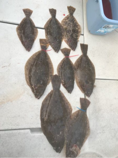 遊漁船メテオ 釣果