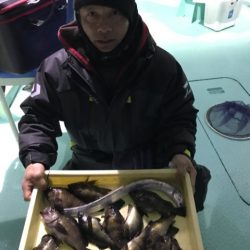 ヤザワ渡船 釣果