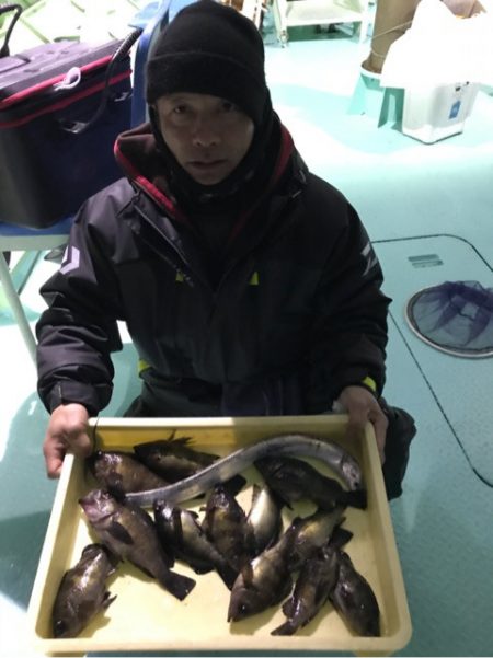 ヤザワ渡船 釣果
