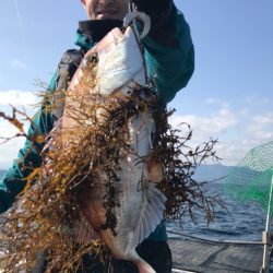 釣鯛洋 釣果