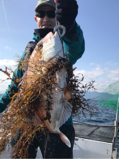 釣鯛洋 釣果