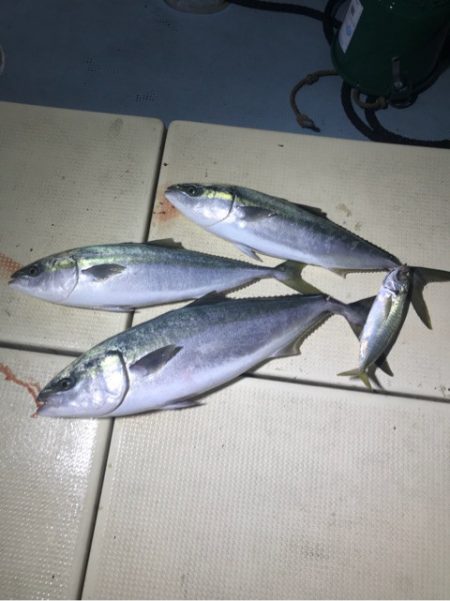 Monster Rush! 釣果