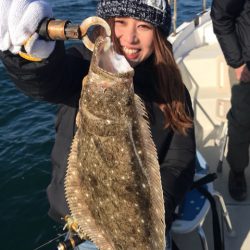 遊漁船メテオ 釣果