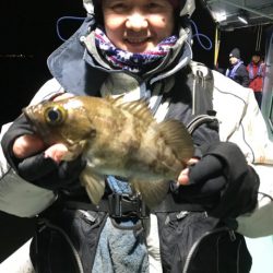 ヤザワ渡船 釣果