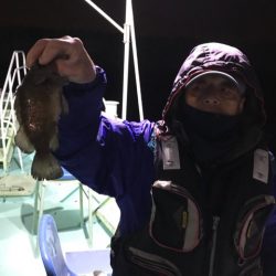 ヤザワ渡船 釣果