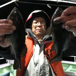 ヤザワ渡船 釣果