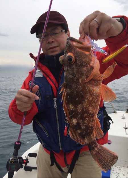 「LaGooN」蒼陽丸 日和号 釣果