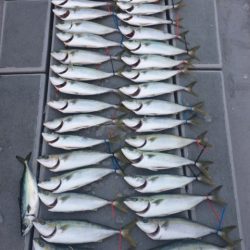 SeaRide(シーライド) 釣果