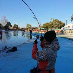 としまえんフィッシングエリア 釣果