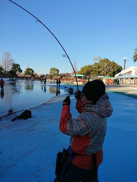 としまえんフィッシングエリア 釣果