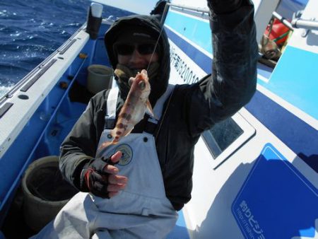 佐衛美丸 釣果