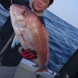 ARCADIAⅡ (アルカディアⅡ) 釣果