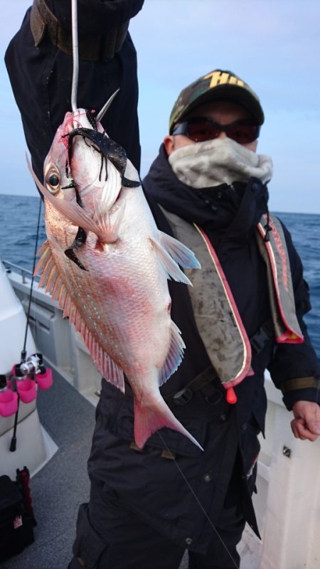 ARCADIAⅡ (アルカディアⅡ) 釣果