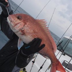 ARCADIAⅡ (アルカディアⅡ) 釣果