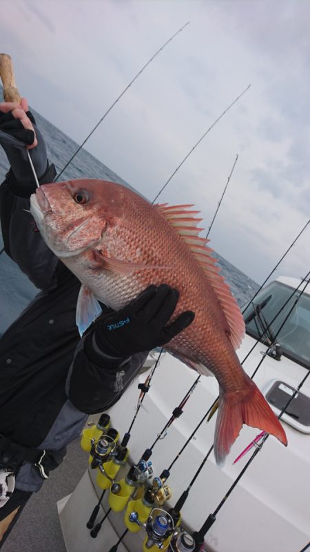 ARCADIAⅡ (アルカディアⅡ) 釣果