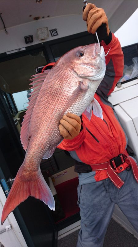 ARCADIAⅡ (アルカディアⅡ) 釣果